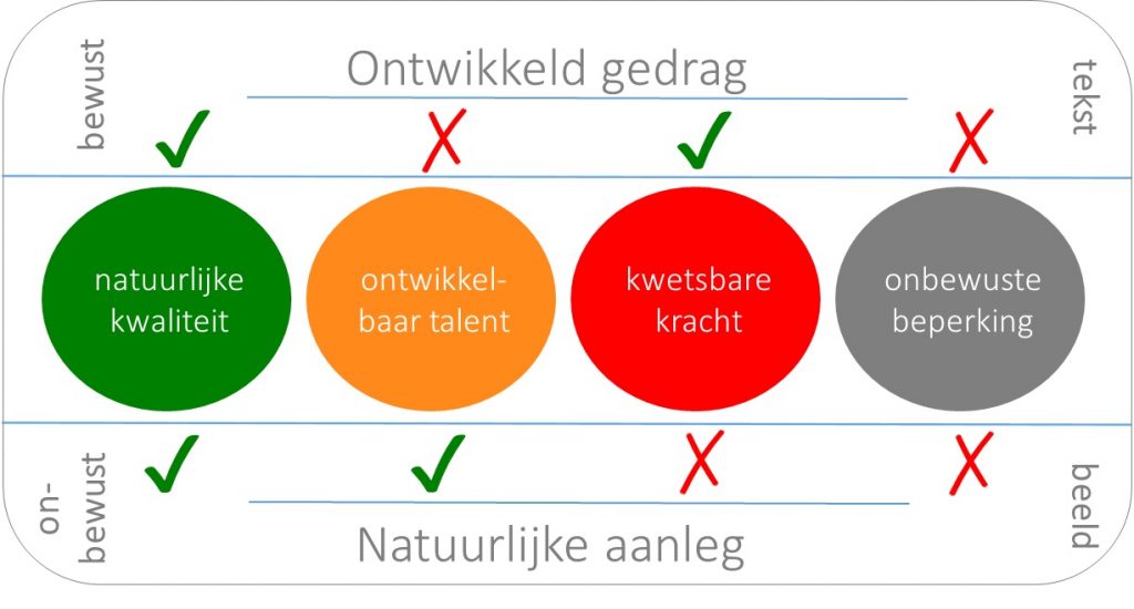 me-model, competentiemeting