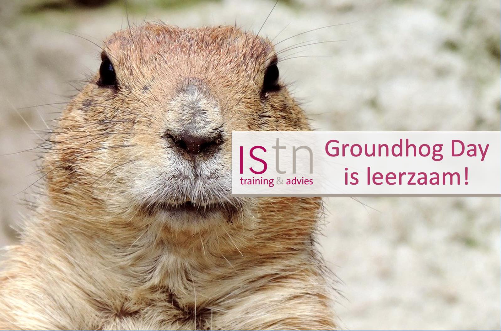 De film Groundhog Day leert je een belangrijke verkooples! Lees de verkooptip van ISTN.nl