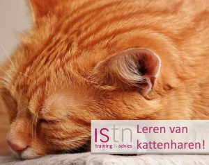 Leren van kattenharen. Lees deze verkooptip van ISTN